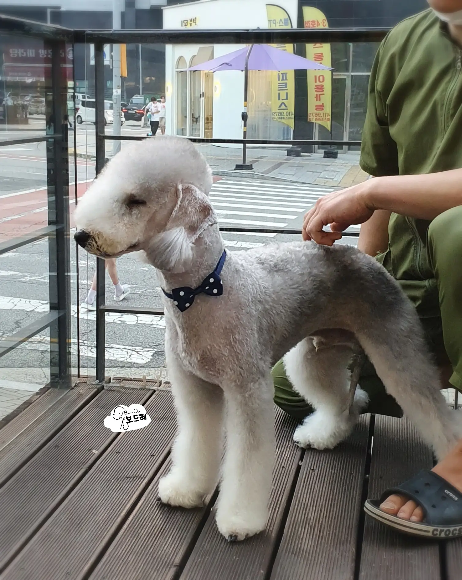 이미지 8
