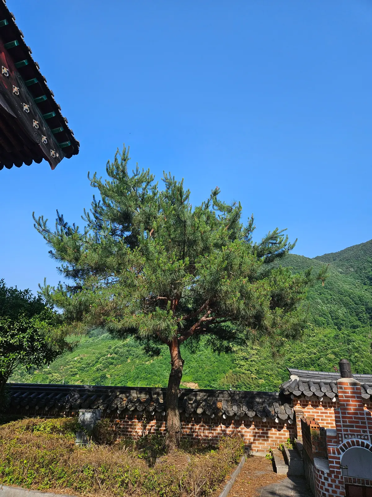 이미지 5