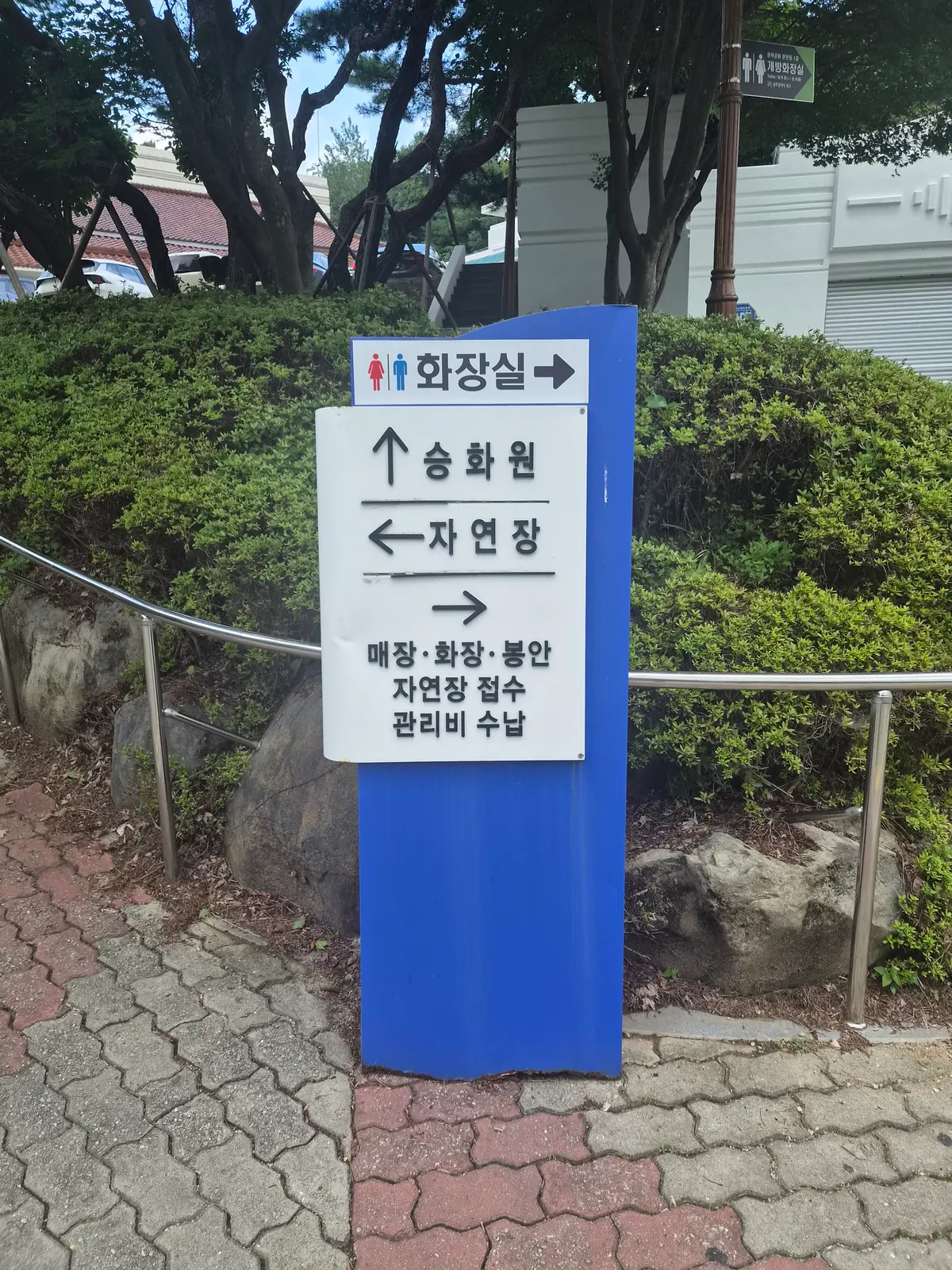 이미지 8