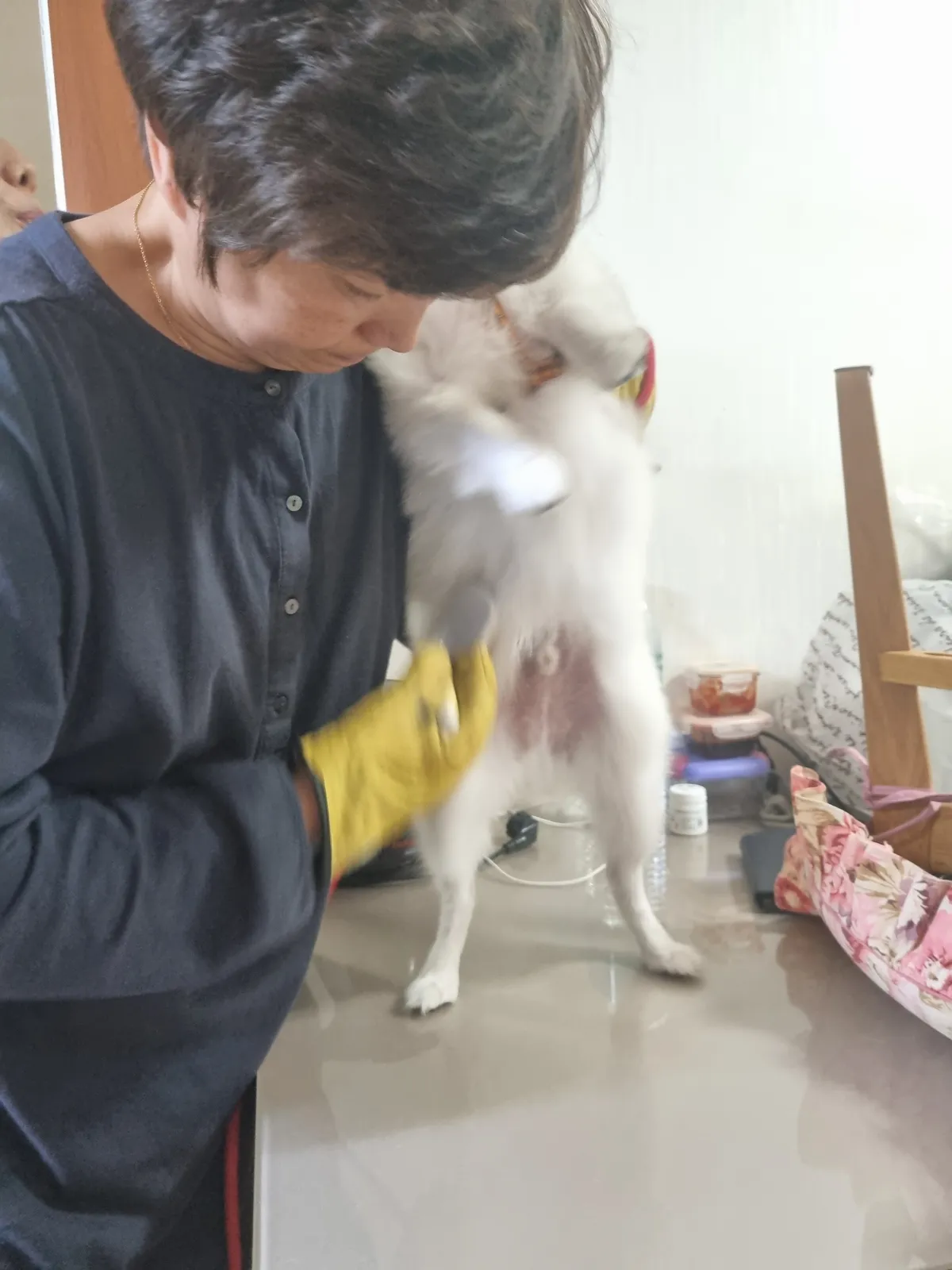 이미지 5