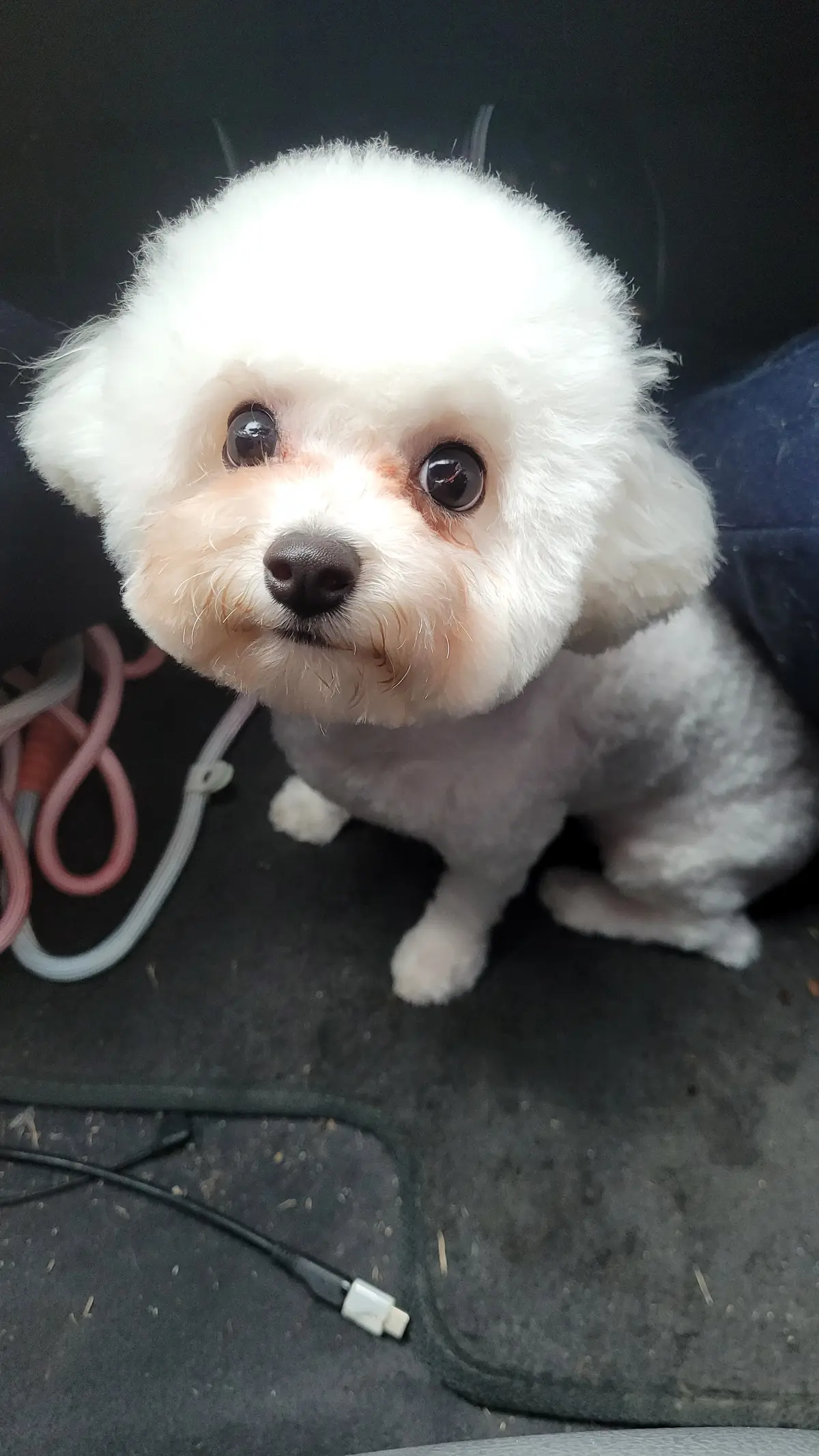 이미지 7