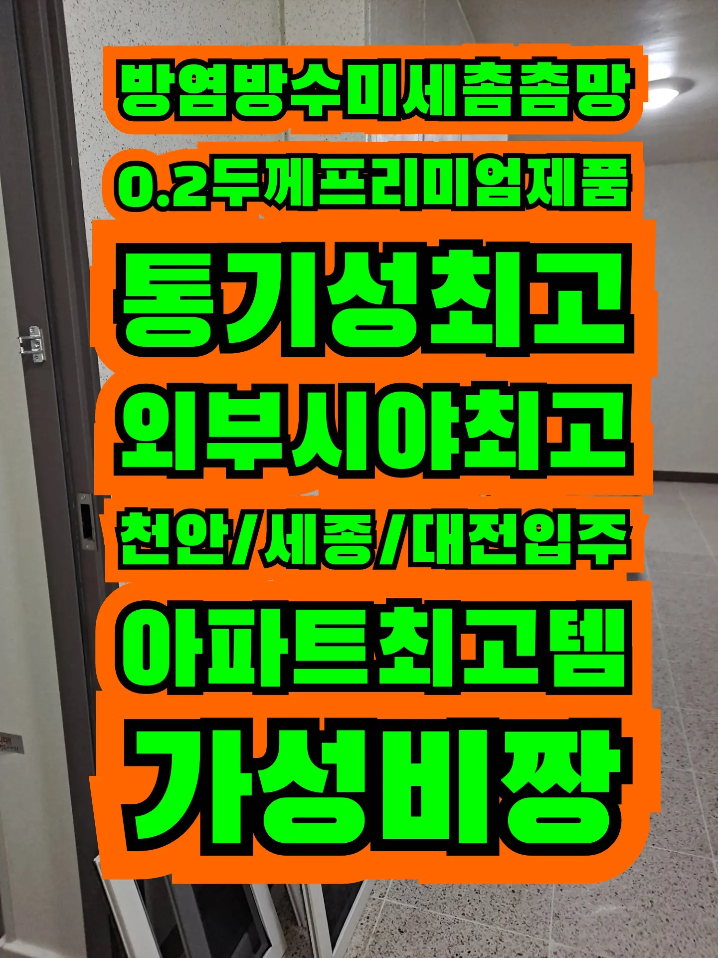 이미지 2