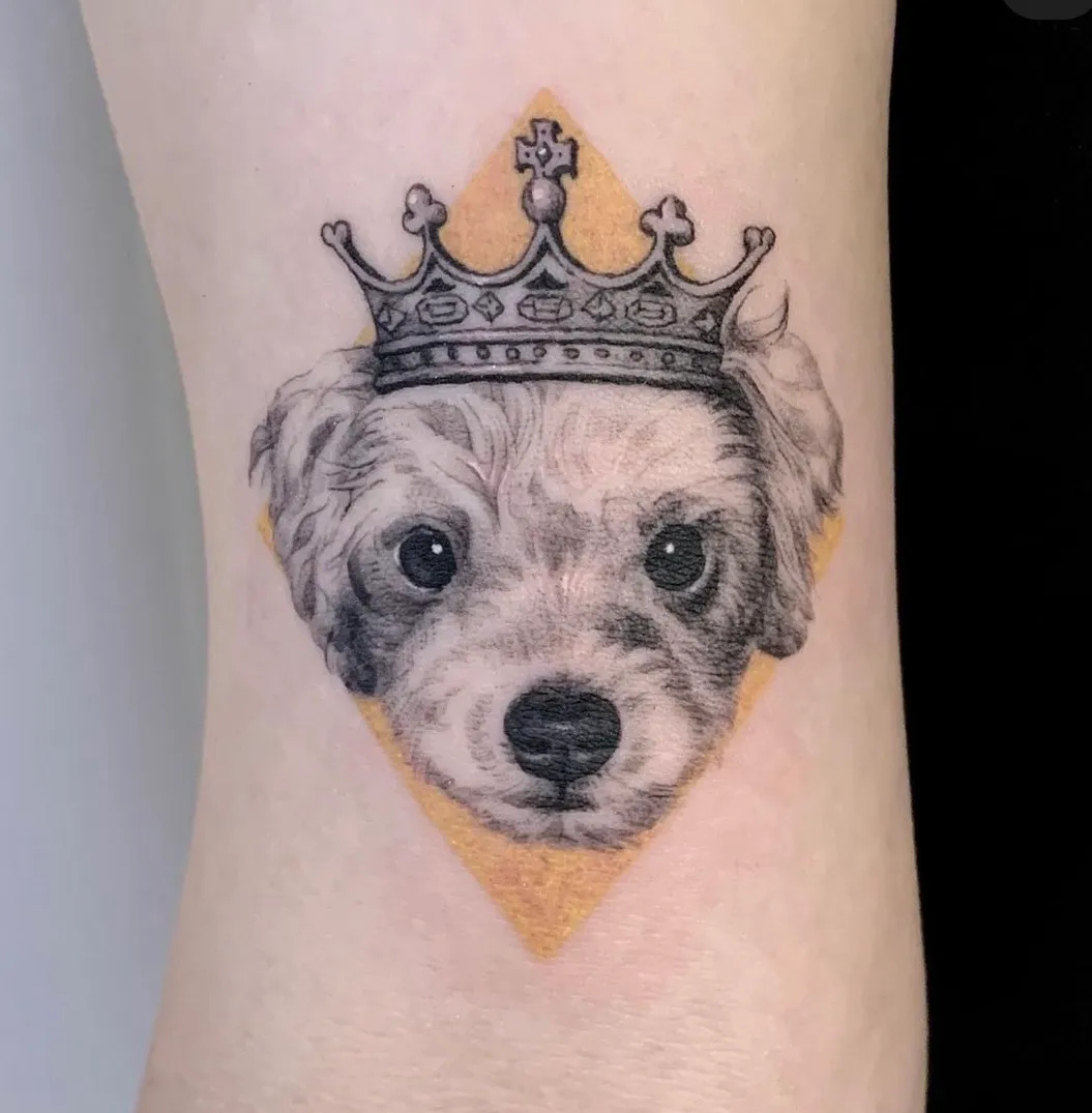 이미지 8