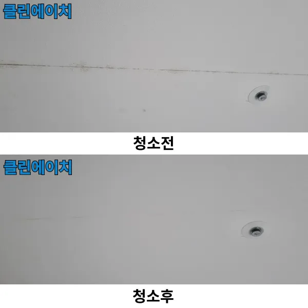 이미지 5