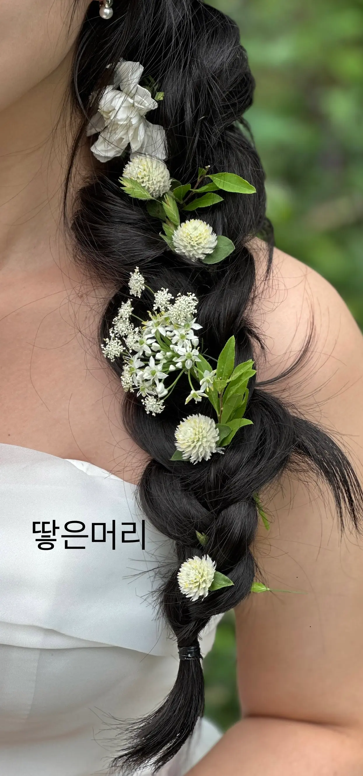 이미지 14