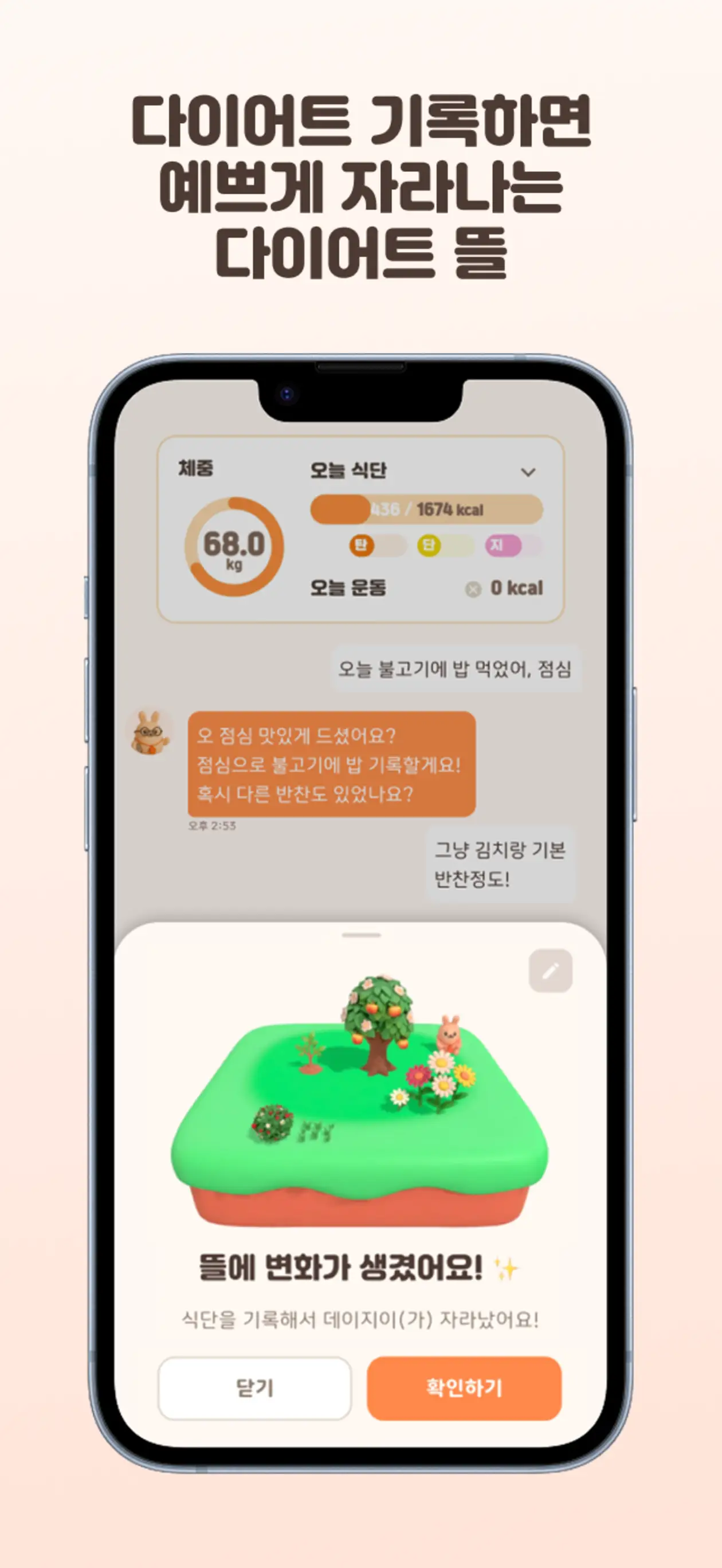 이미지 12