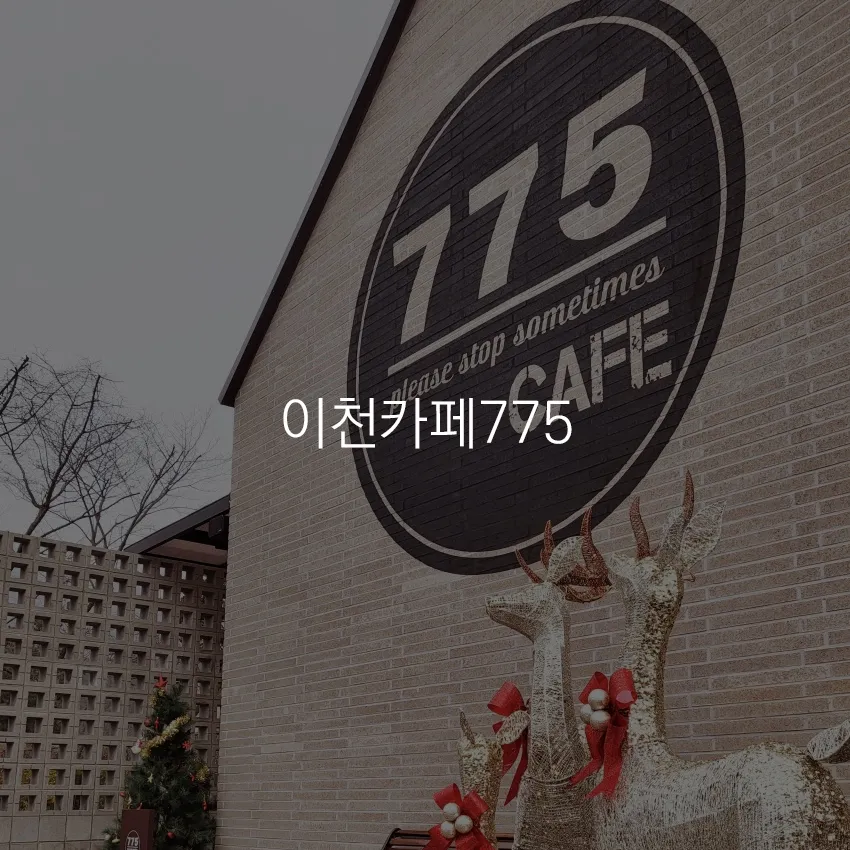 포트폴리오 이미지