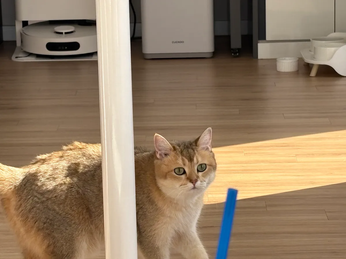 이미지 3