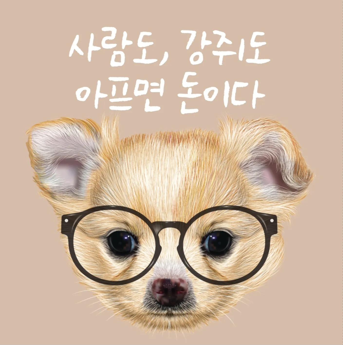 이미지 5