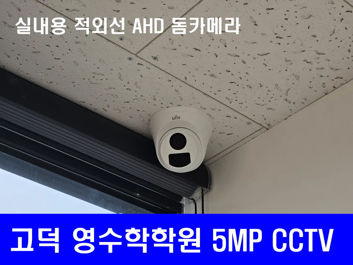 이미지 5