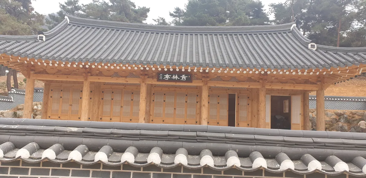 이미지 7