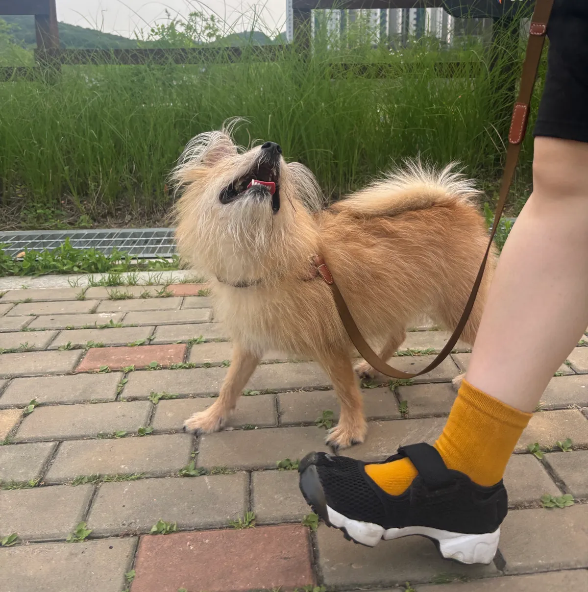 이미지 3