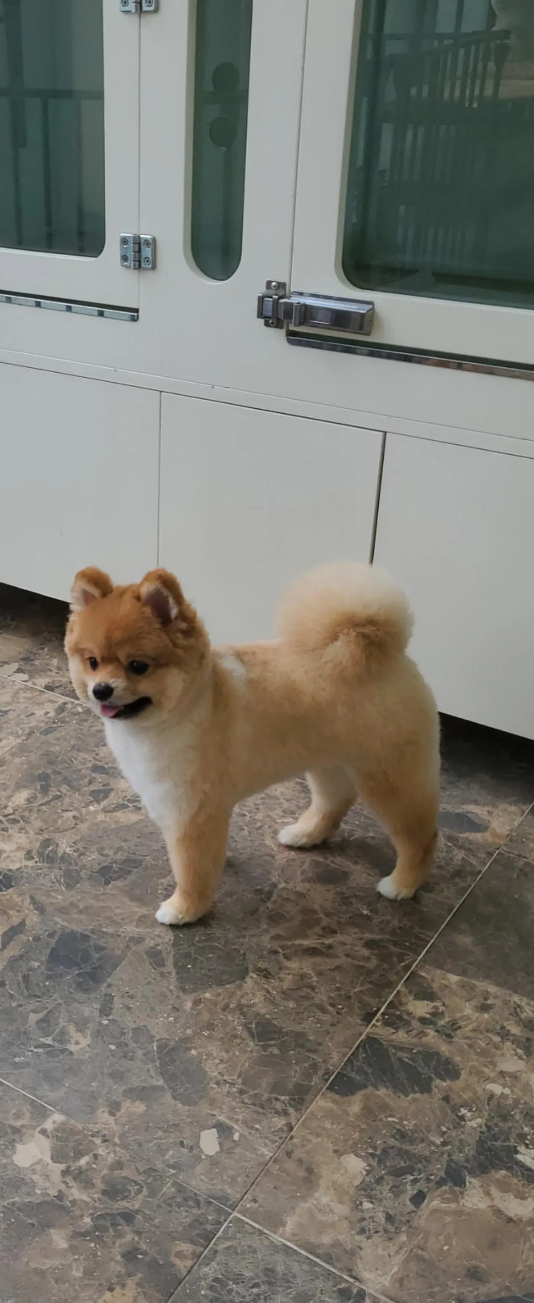 이미지 7