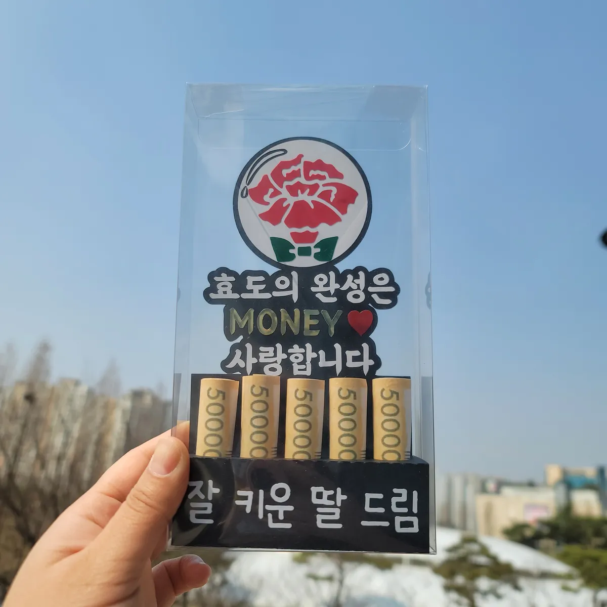 이미지 11