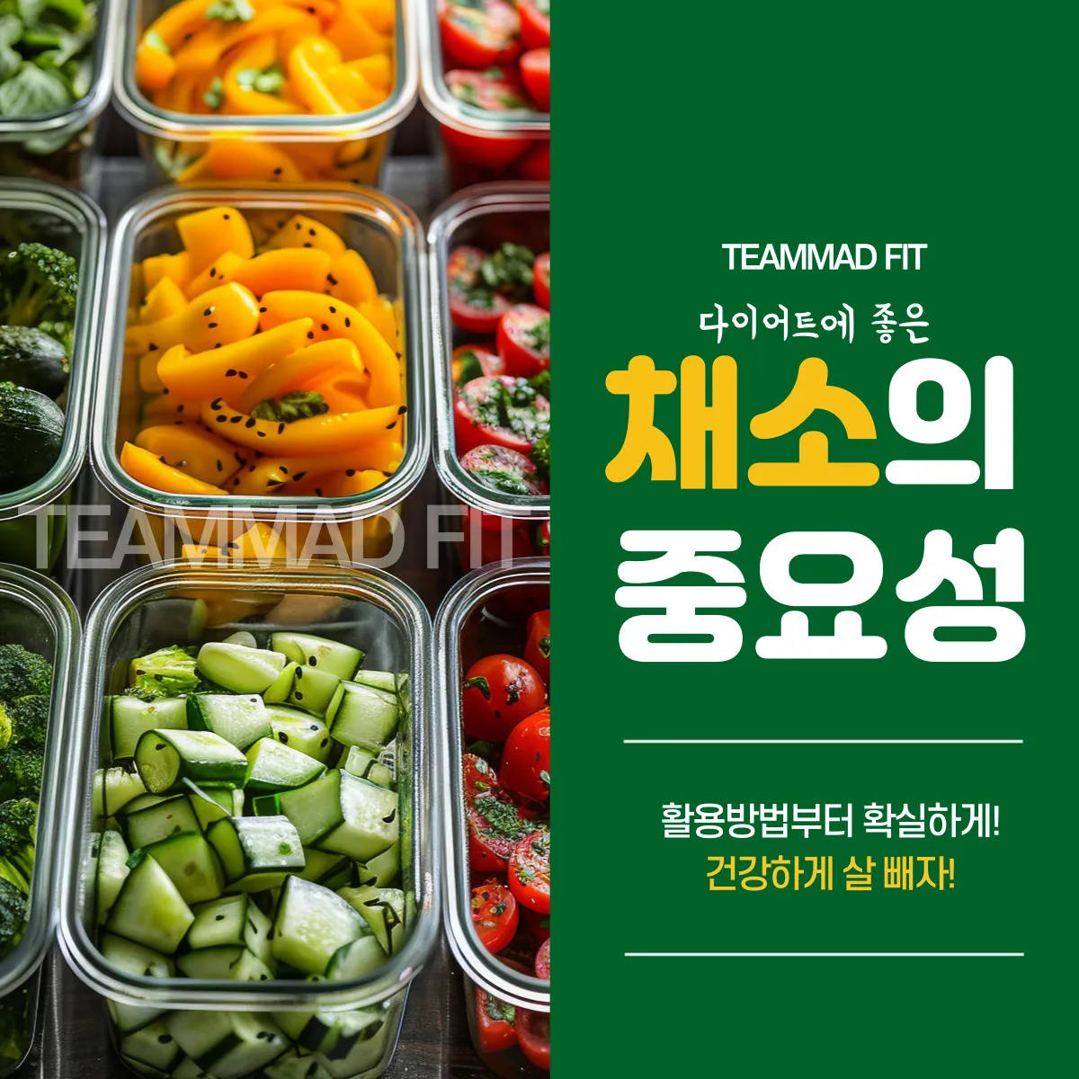 이미지 11