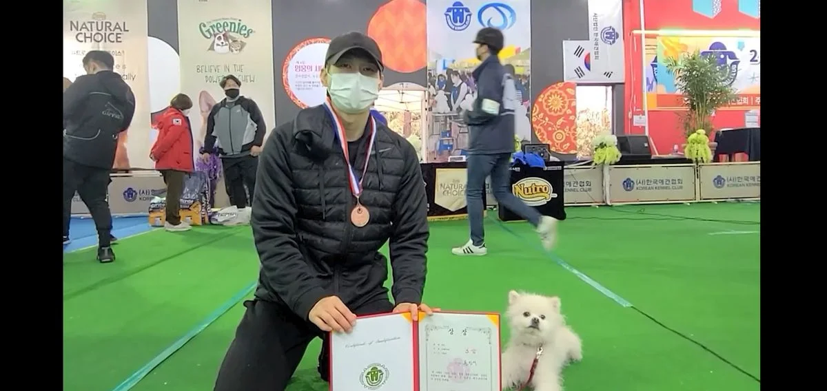 이미지 11
