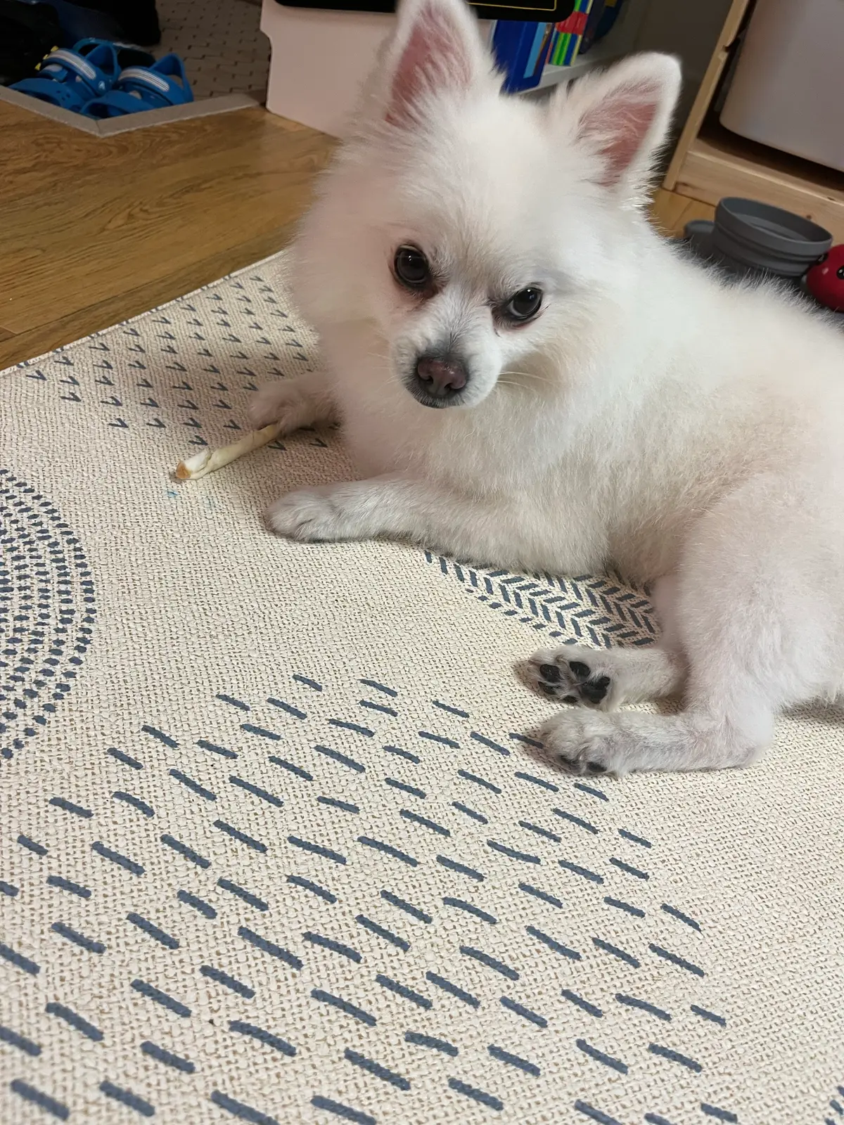 이미지 16