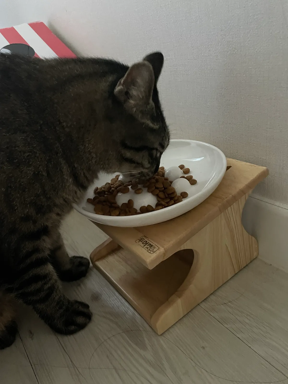 이미지 5