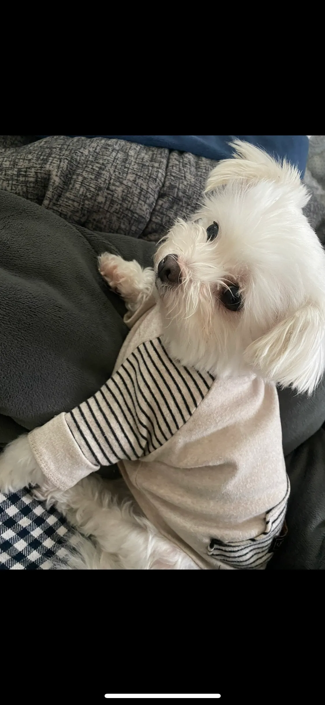 이미지 5