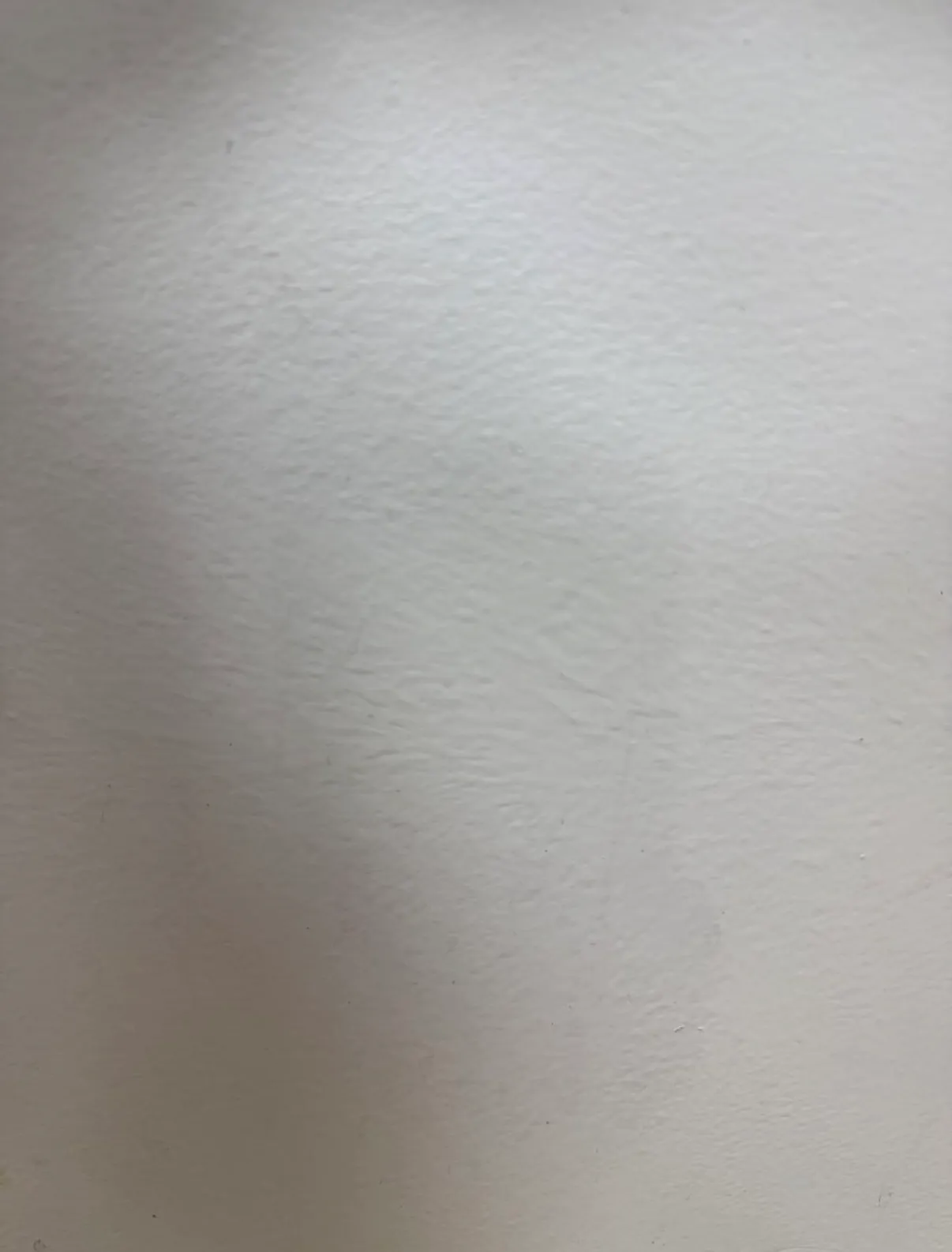 이미지 8