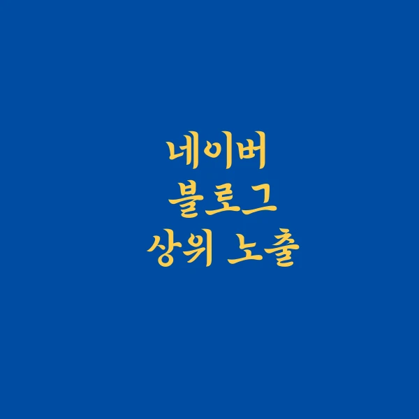 포트폴리오 이미지