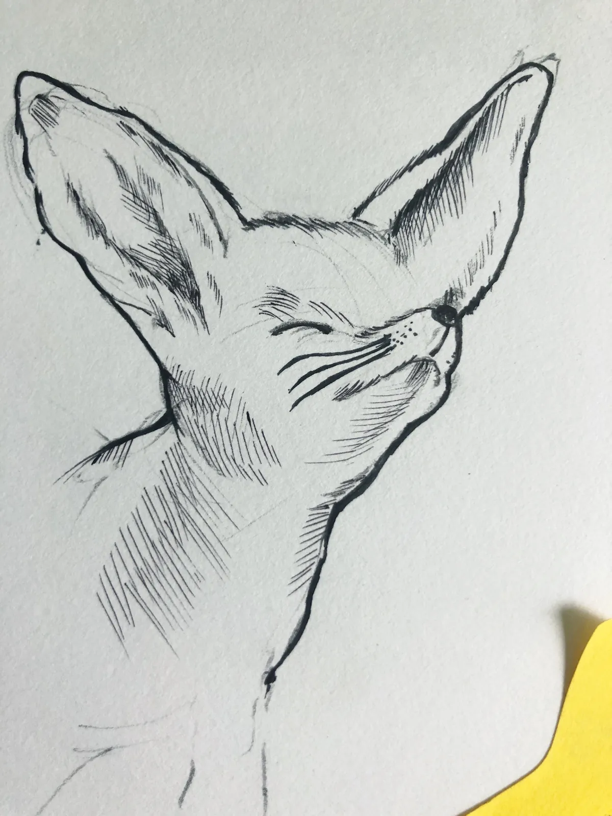 이미지 12