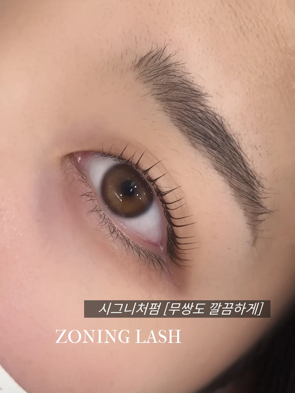 이미지 2