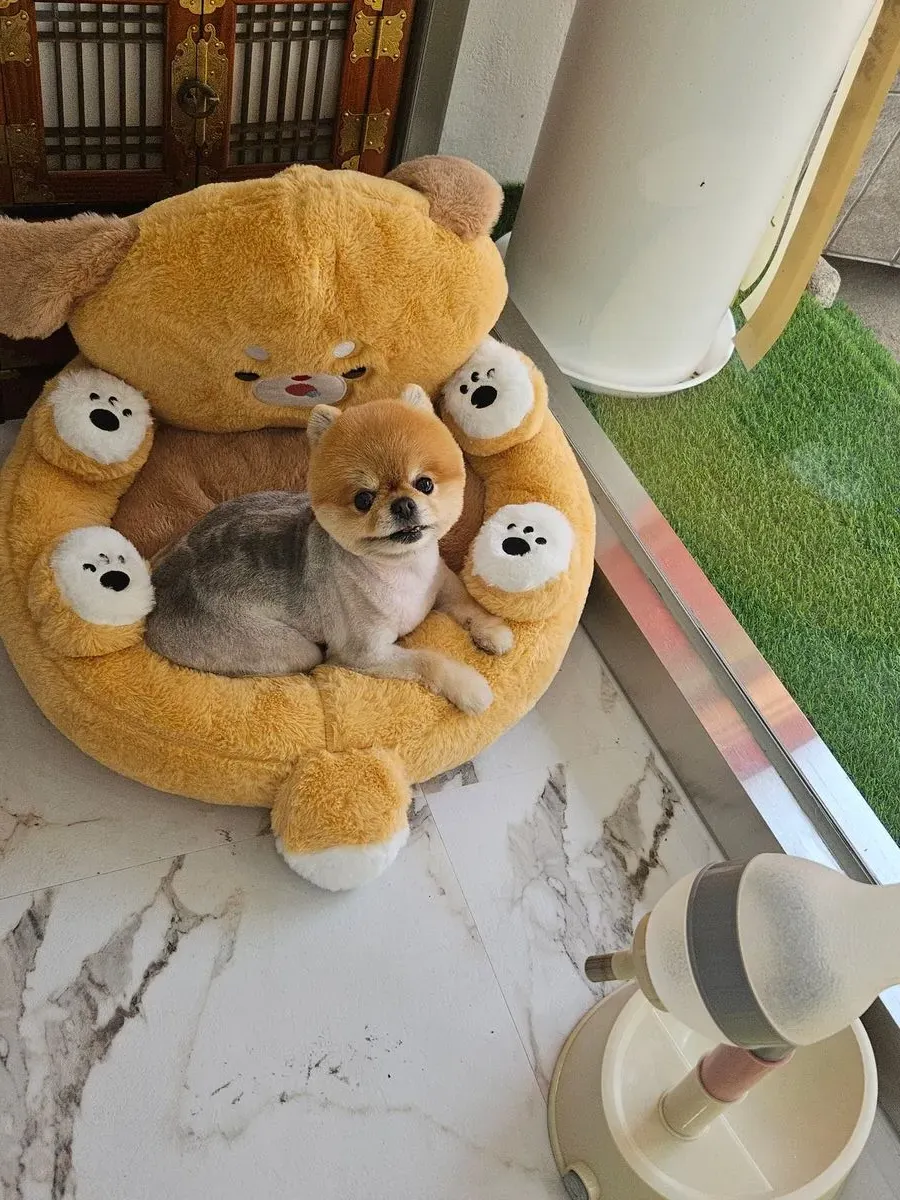 이미지 14