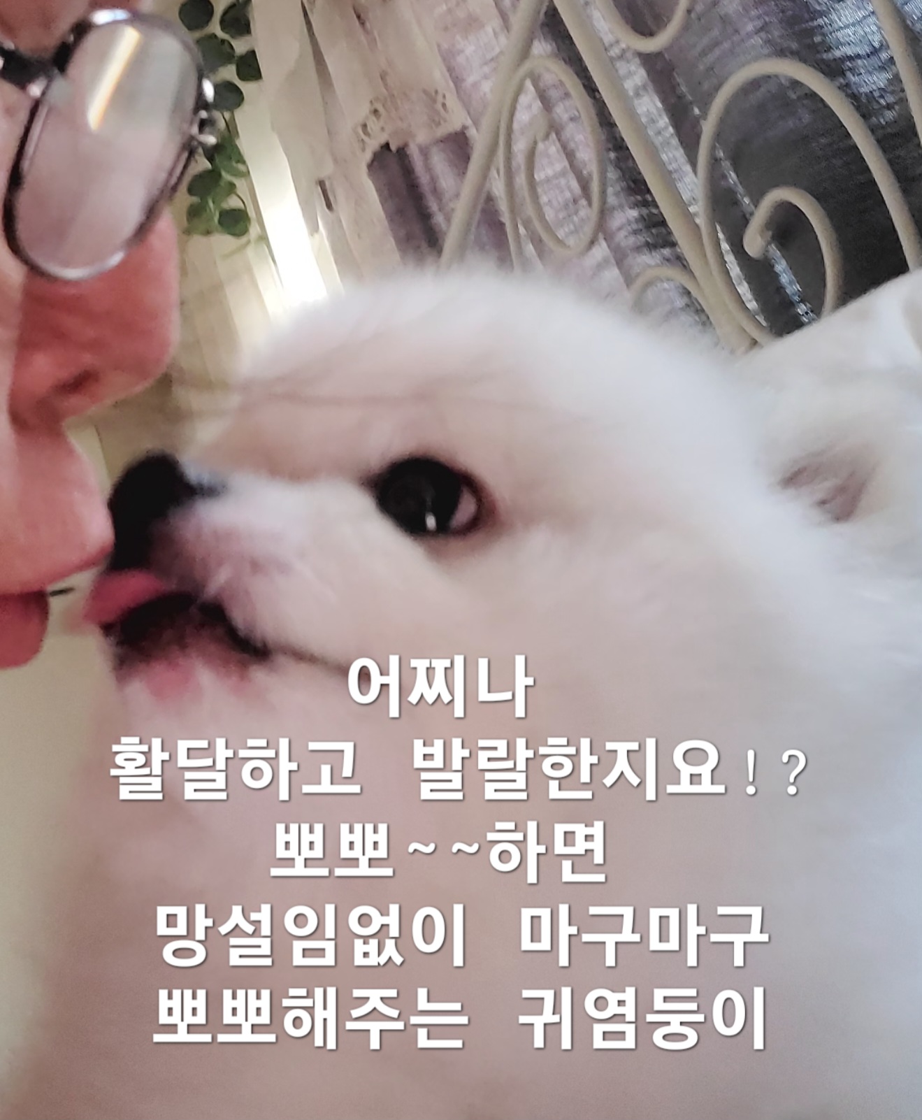 이미지 5