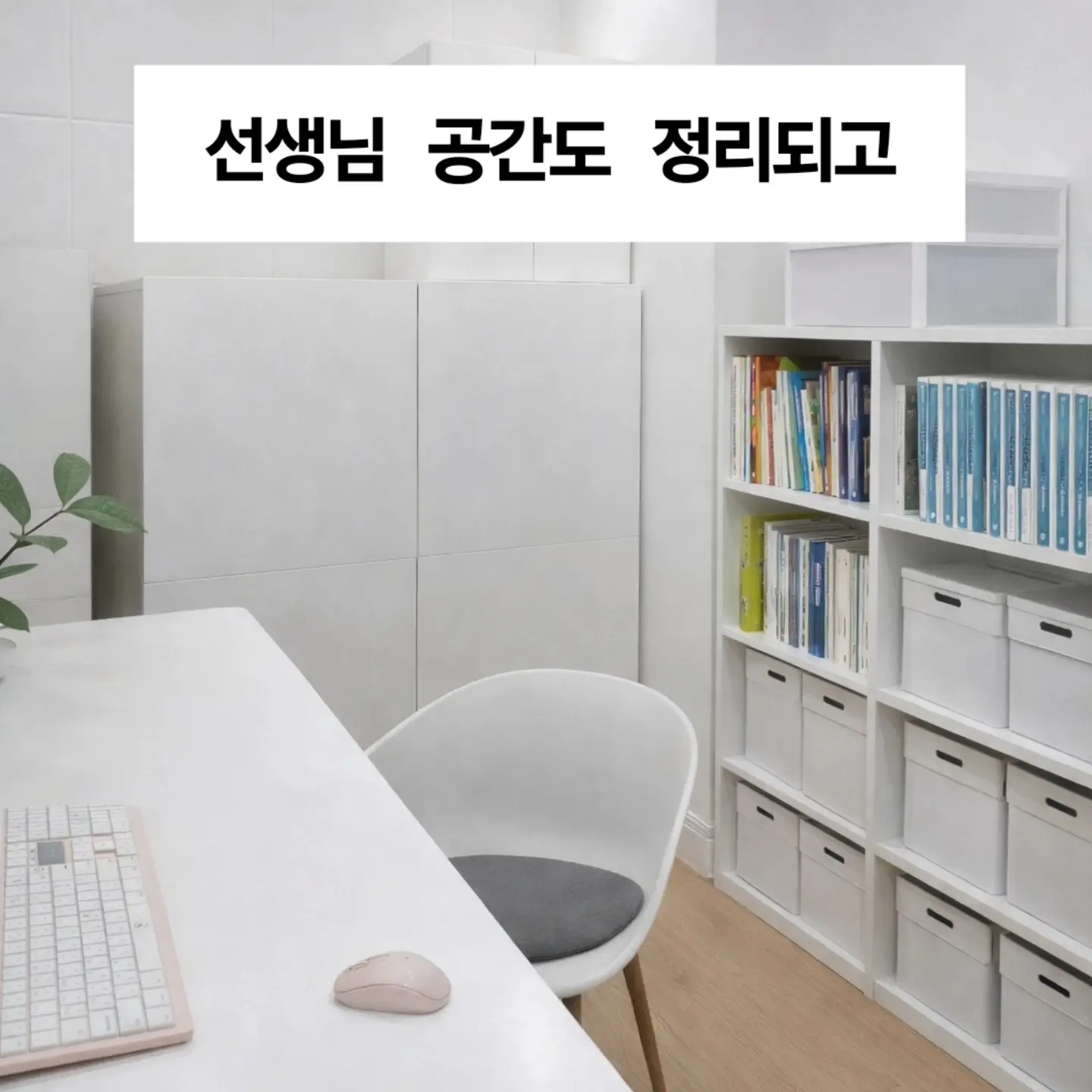 이미지 11