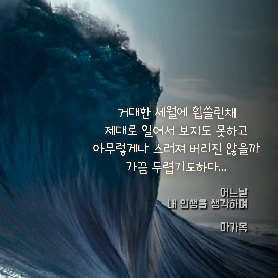이미지 5