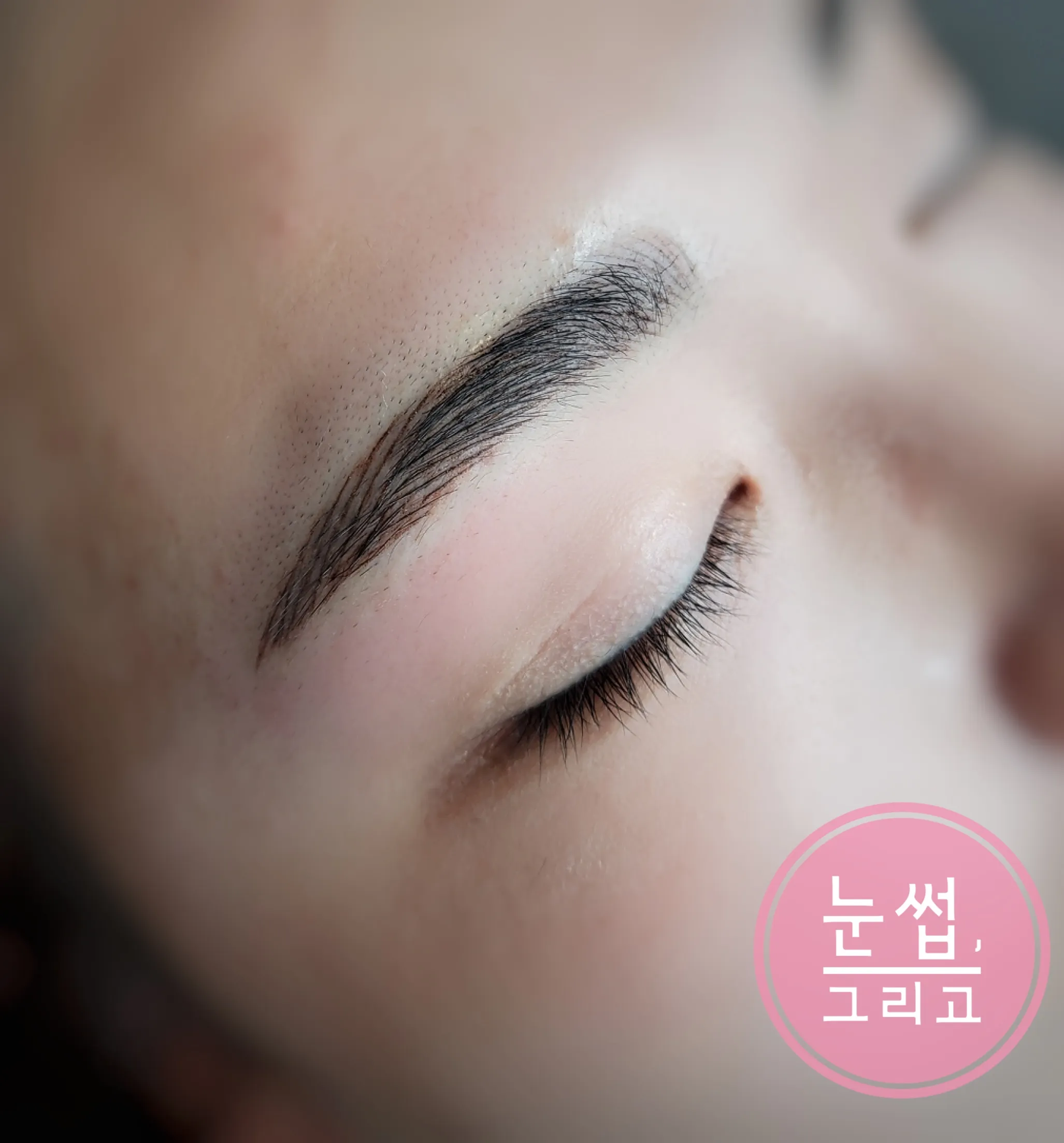 이미지 5