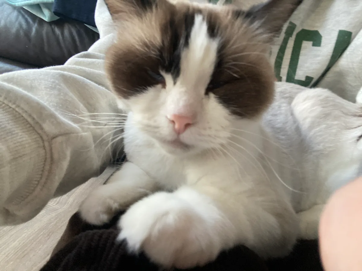 이미지 8
