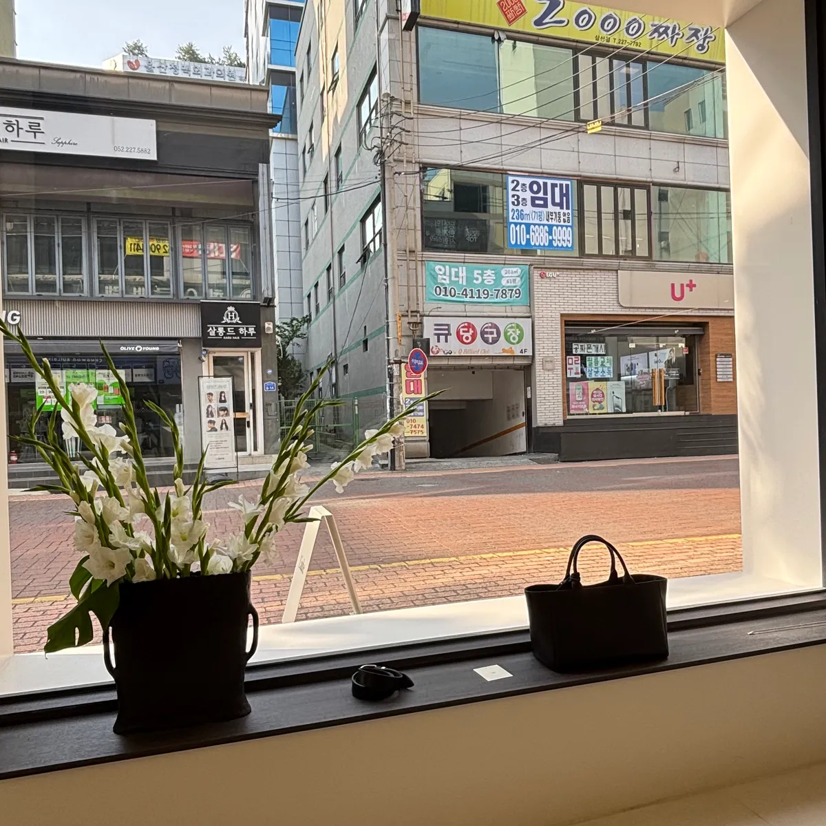이미지 24