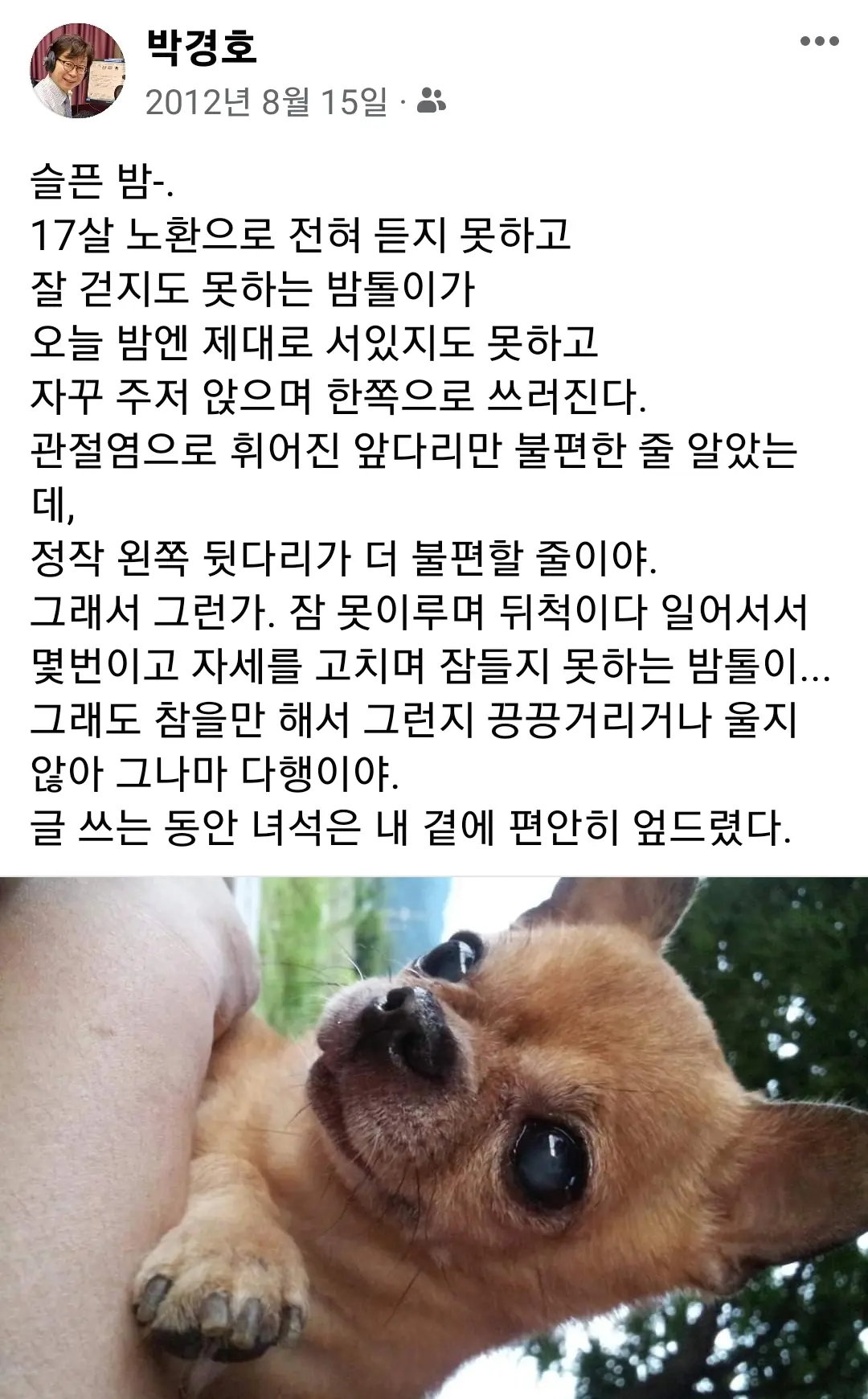 이미지 7