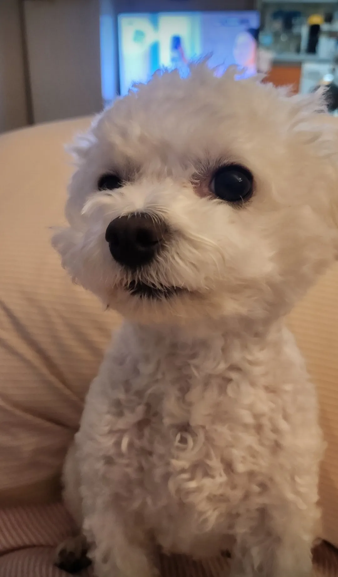 이미지 9