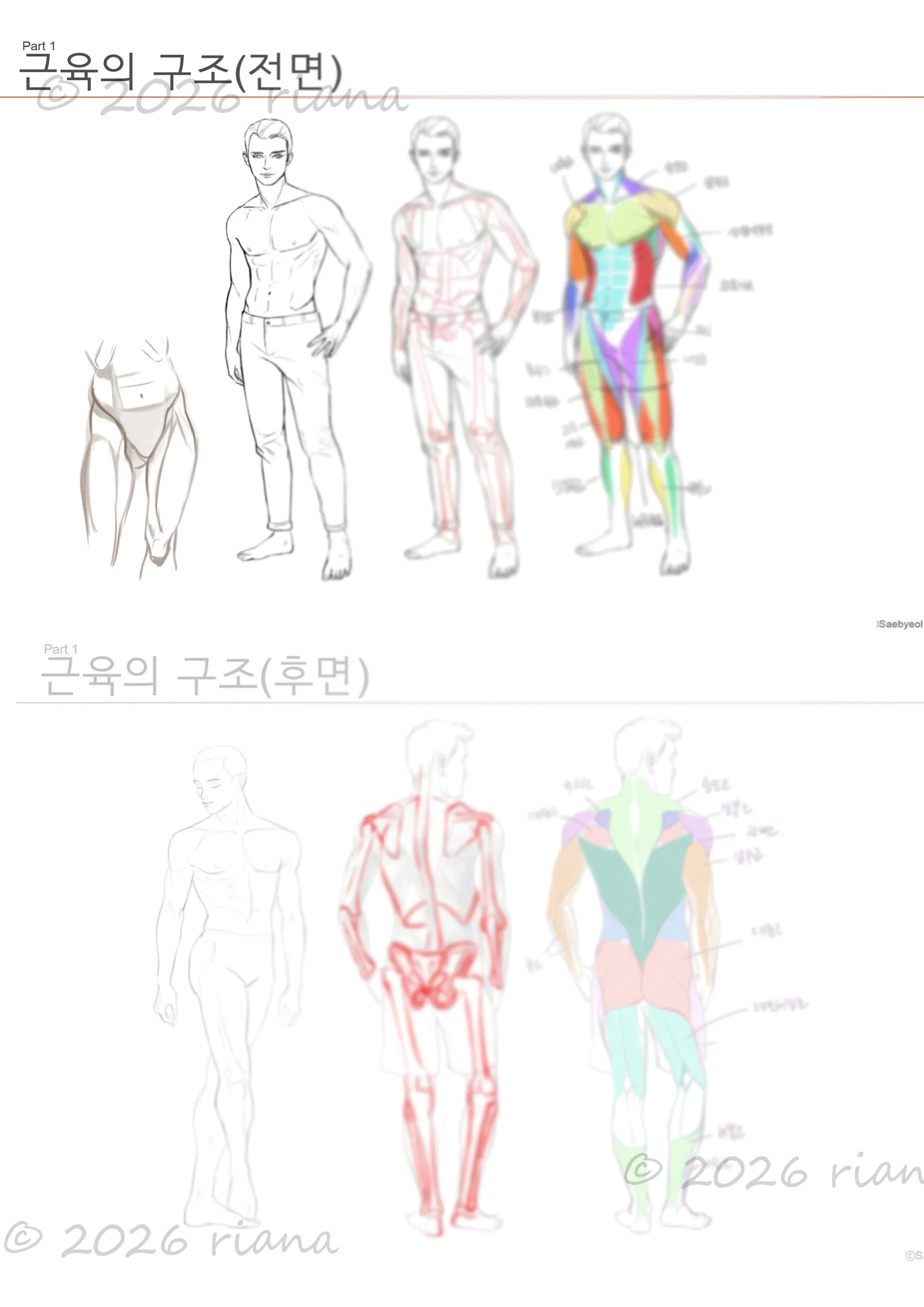 이미지 4