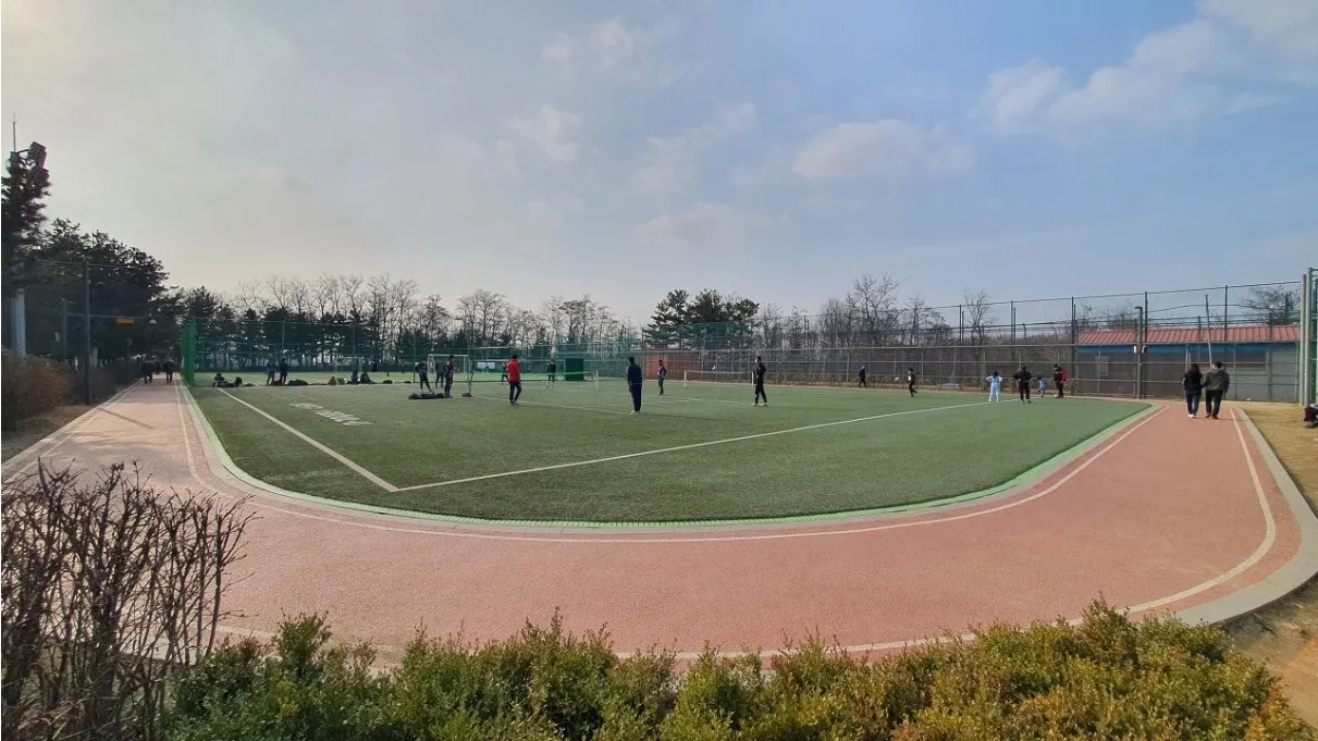 이미지 5