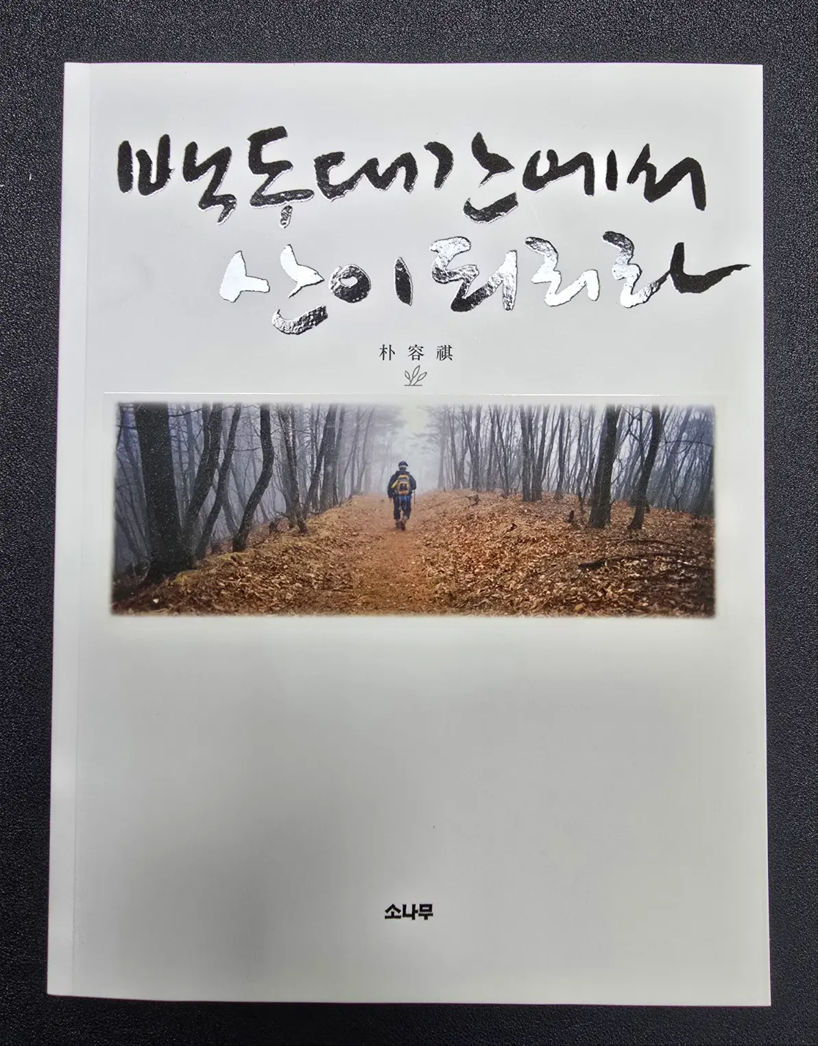 이미지 2