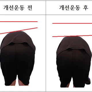 혼자서도 잘할수 있게 단계별 맞춤 설계형 프리미엄 PT