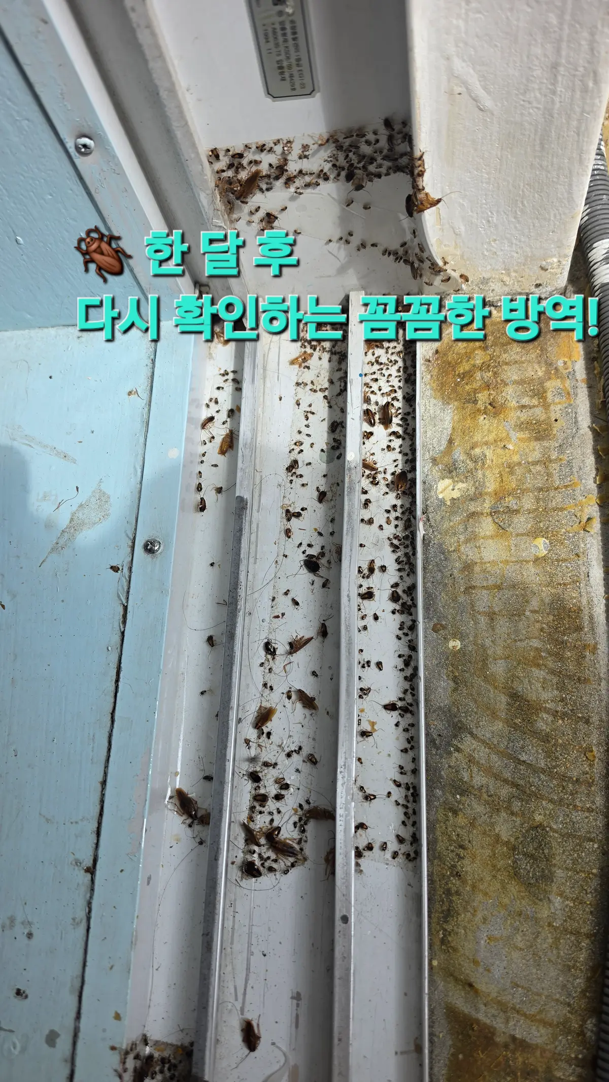 이미지 6