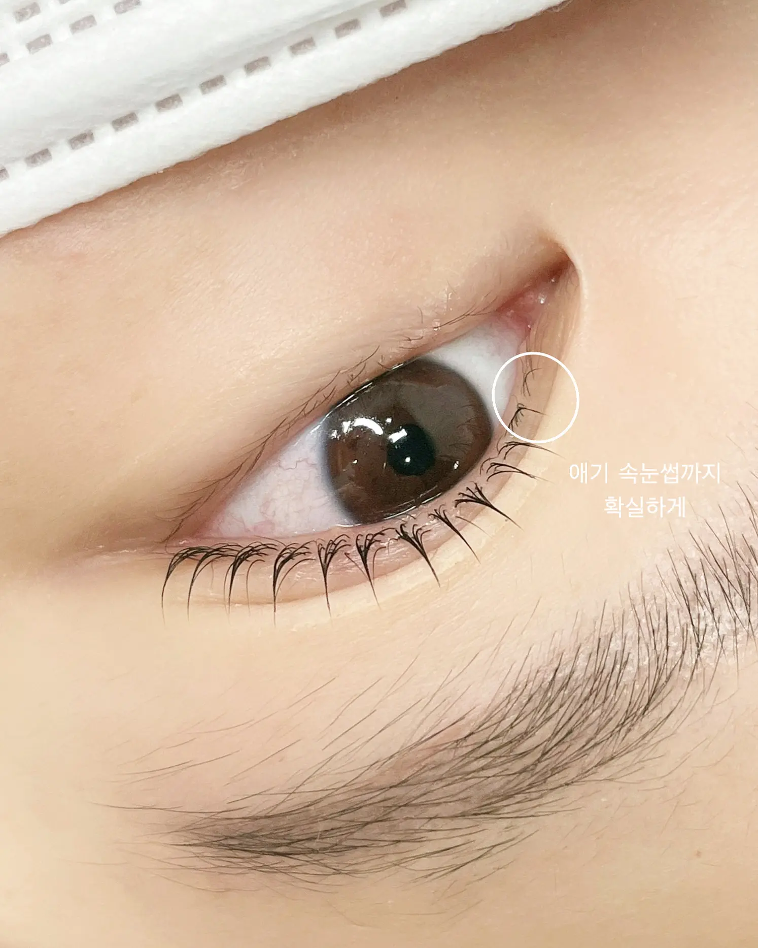 이미지 9