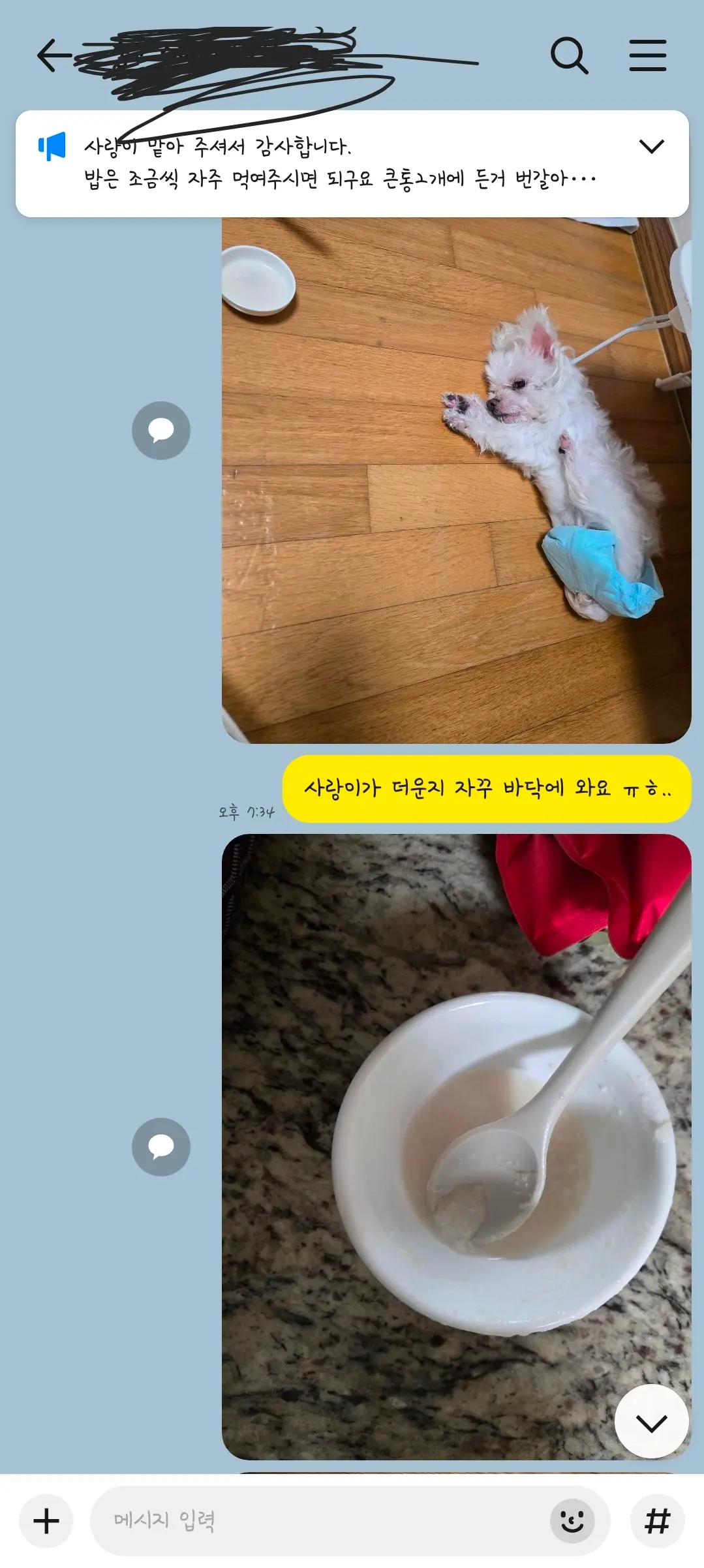 이미지 3
