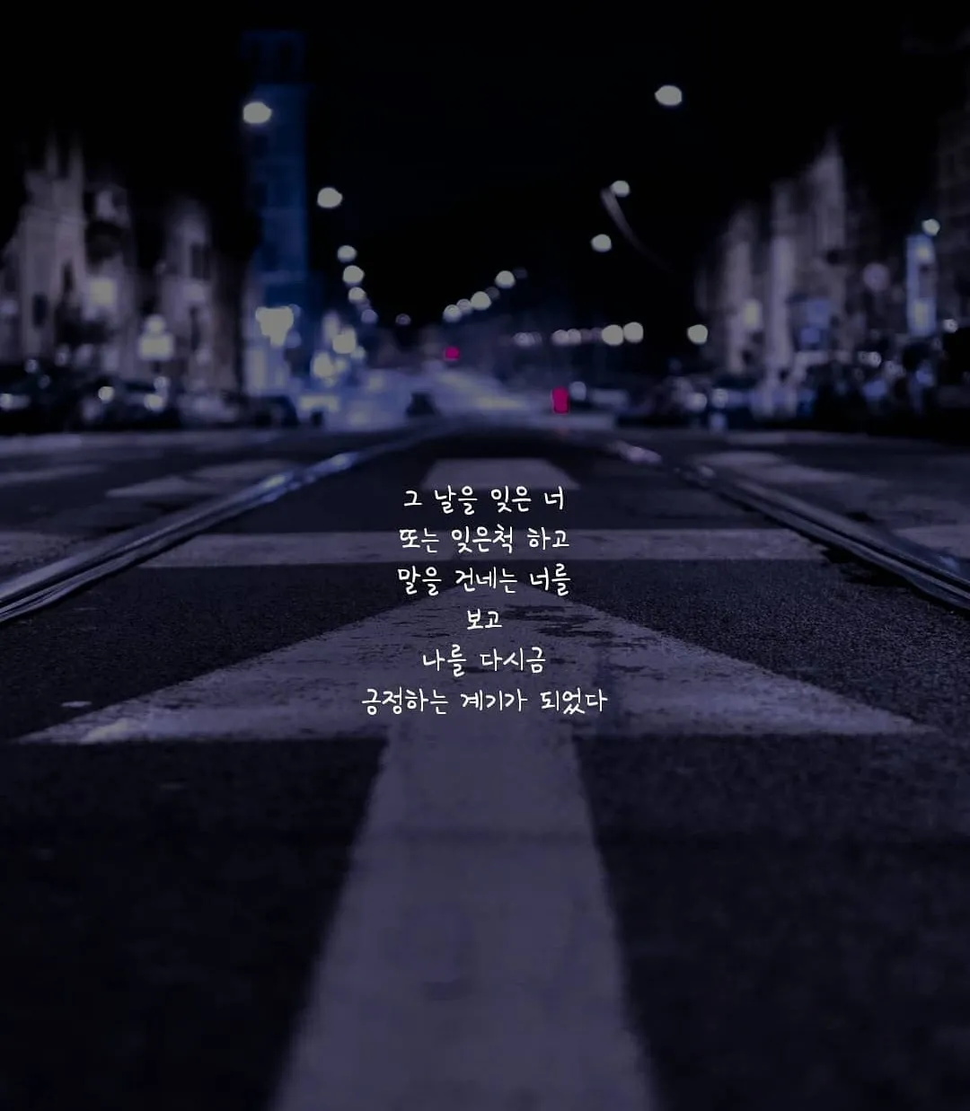 이미지 8