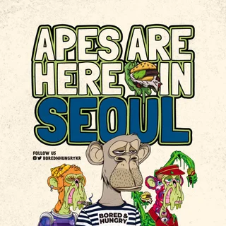 보어드앤헝그리 SNS 컨텐츠 디자인