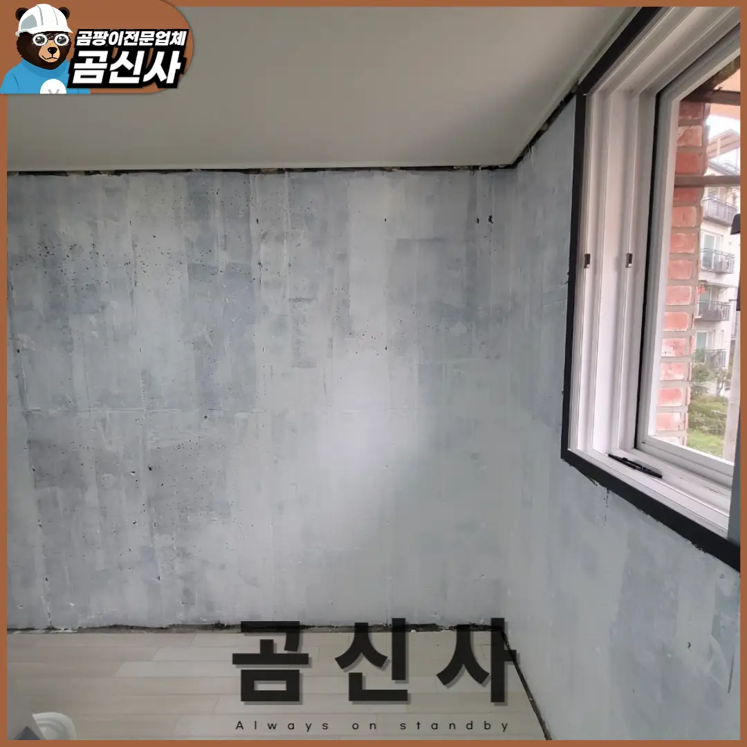 이미지 7