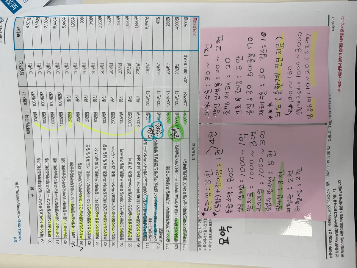 이미지 11