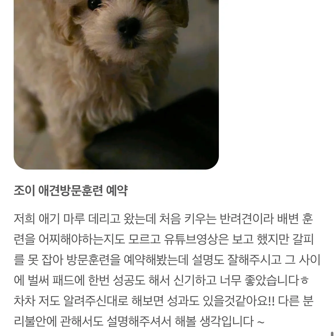 이미지 3
