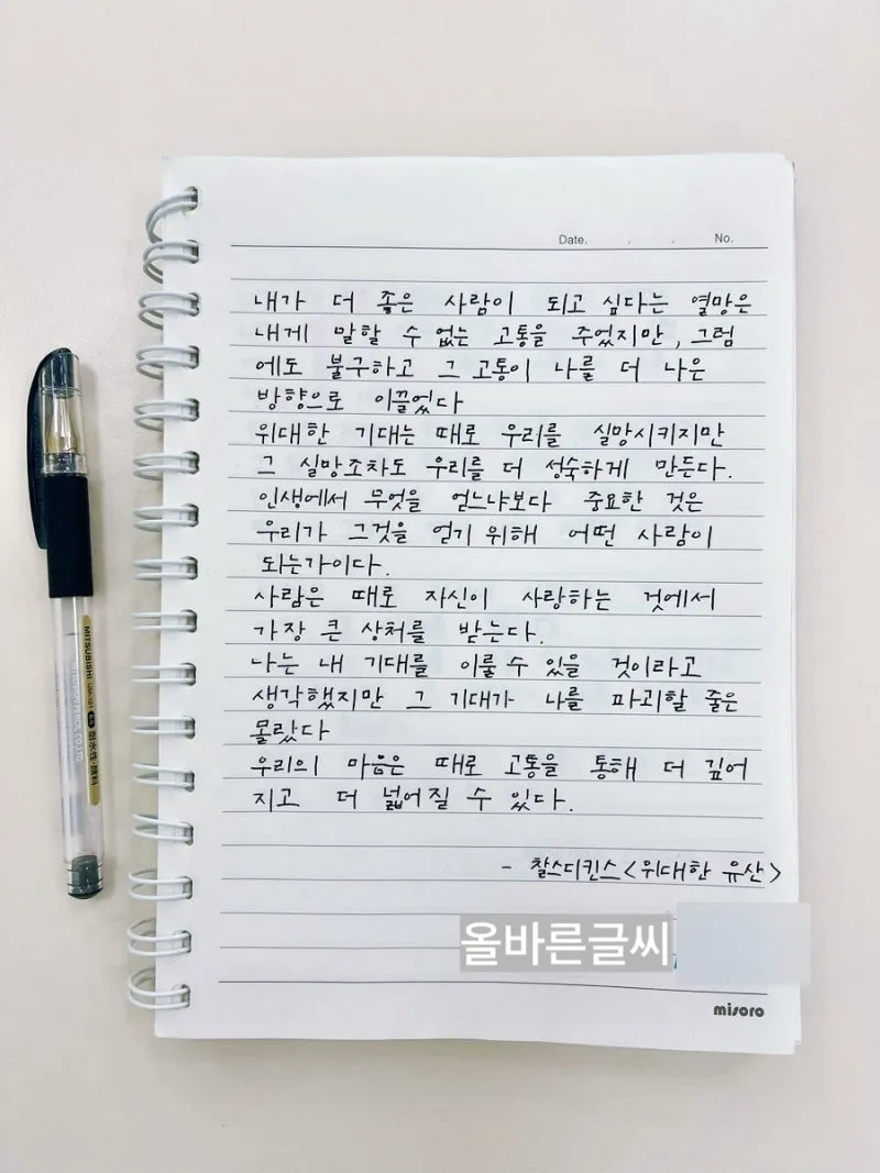 이미지 5