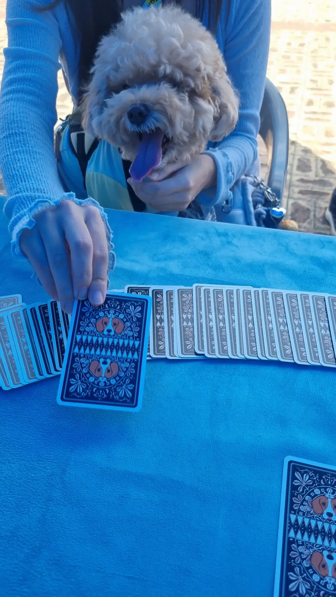이미지 12